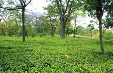 sightseeing of mcleodganj